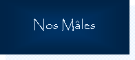 Text Box: Nos Mles