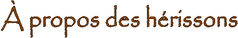 � propos des h�rissons